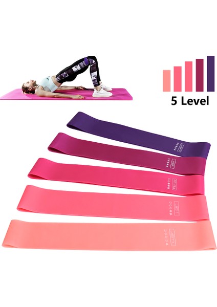 Pd1 MOR12345YSBD Stili Direnç Bantları Fitness Sakız Seti Egzersiz Sporları Fitness Pilates Için Elastik Bant Kuvvet Eğitimi Kauçuk Döngü Genişletici LLQ01 (Yurt Dışından) modelleri