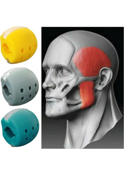 Gri Stil Fitness Yüz Masseter Eğitim Topu Gıda Dereceli Silikon Çene Egzersiz Cihazı Yüz Çiğneme Yüz Kas Eğitmen Çiğneme Topu (Yurt Dışından) modelleri