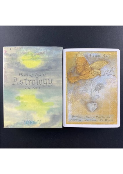 53 Adet TS172 Tarzı Heavenly Bodies Astroloji Kâhin Kartlar Tahta Çok Oyunculu Aile Partisi Oyunu Falcılık Peygamber Tarot Destesi (Yurt Dışından) fırsatları