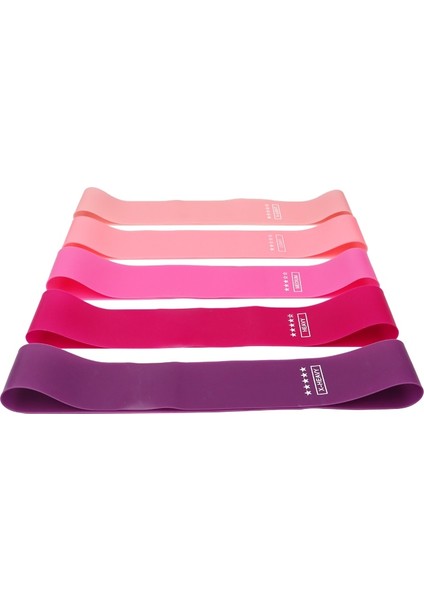 T Mor Set Pgbag Stili Crossfit Workout Resistance Bands Fitness Elastic Rubber Bands Training Workout Mini Bands Home Gym Home Yoga Strength Equipment (Yurt Dışından)