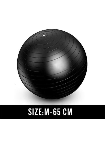 Siyah 65CM Tarzı Erkekler Anti Patlama Egzersiz Topları Spor Salonu Fit Topu Profesyonel Pilates Yoga Fitness Denge Kararlılık Topu Supportlbs (Yurt Dışından)