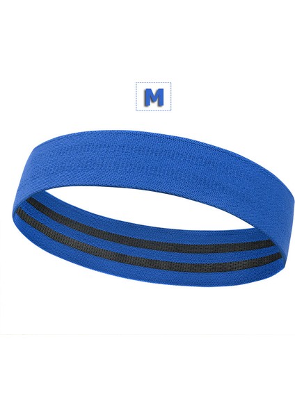 Mavi M Stili Unisex Ganimet Bandı Kalça Daire Döngü Direnç Bandı Bacaklar Için Egzersiz Egzersizi Uyluk Glute Popo Çömelme Bantları Kaymaz Tasarım (Yurt Dışından)