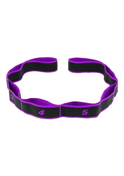 Mor Tarzı Elastique Spor Fitness Egzersiz Direnç Bantları Seti Yoga Çekme Kayışı Kemer Polyester Lateks Elastik Latin Dansı Germe Bandı (Yurt Dışından)