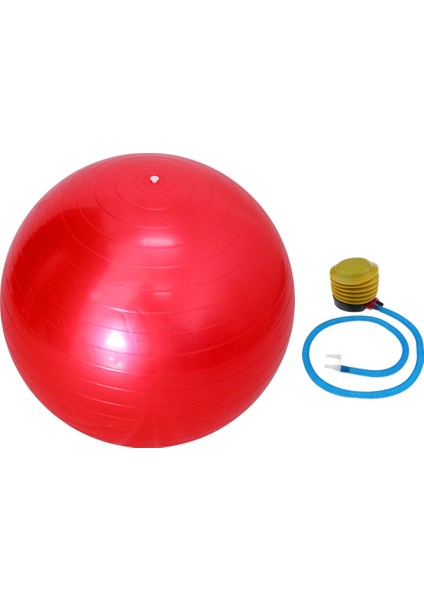Yeşil Stil 55CM Patlama Önleyici Yoga Topu ve Pompa Jimnastik Fitness Pilates Isviçre Topu Denge Egzersizi Spor Salonu Çekirdek Gücü Kapalı Alan Antrenmanı Fitball (Yurt Dışından) fiyatları