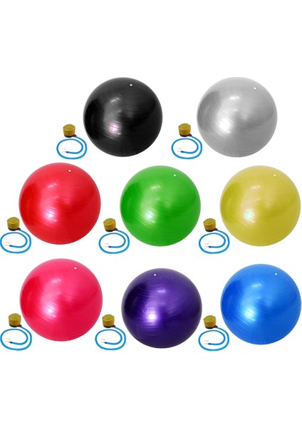 Yeşil Stil 55CM Patlama Önleyici Yoga Topu ve Pompa Jimnastik Fitness Pilates Isviçre Topu Denge Egzersizi Spor Salonu Çekirdek Gücü Kapalı Alan Antrenmanı Fitball (Yurt Dışından) fırsatları