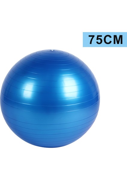 MAVI75 Tarzı Yougle Spor Yoga Topları Bola Pilates Fitness Salonu Denge Fitball Egzersiz Pilates Egzersiz Masaj Topu 55CM 65CM 75CM 85CM (Yurt Dışından)