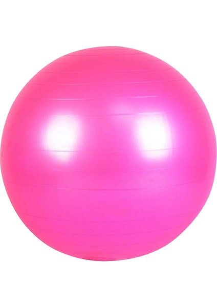 MAVI75 Tarzı Yougle Spor Yoga Topları Bola Pilates Fitness Salonu Denge Fitball Egzersiz Pilates Egzersiz Masaj Topu 55CM 65CM 75CM 85CM (Yurt Dışından) fırsatları