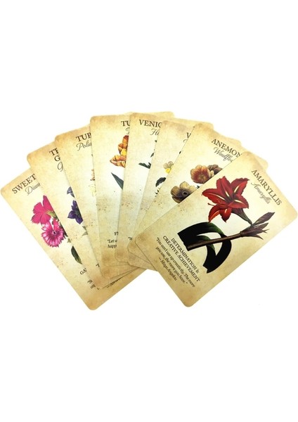 Cadılar Bayramı Tarzı Botanik Ilham Oracle Kartları Tam Englards Güverte Tarot Kehanet Aile Partisi Masa Oyunu (Yurt Dışından) indirimleri