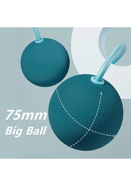 30 mm Siyah Stil 75MM Ağırlık Atlama Ipi Evde Egzersiz Antrenör Top Atlama Ipi Spor Atlama Ipi Fitnes Boks Topu Ip Atlama Ipi (Yurt Dışından) fırsatları