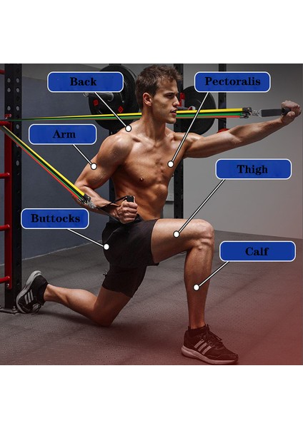 Stil Bir Stil 11 1 Direnç Bantları Seti Crossfit Eğitim Egzersiz Yoga Tüpleri Çekme Halatı Kauçuk Genişletici Elastik Bantlar Fitness Ekipmanları (Yurt Dışından) modelleri