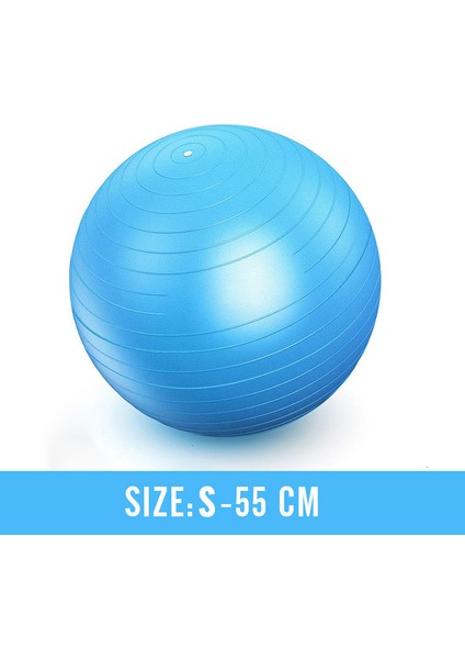 Mavi 55 cm Stili Profesyonel Egzersiz Yoga Topları Erkekler Anti Patlama Stabilite Topu Ev Gym Pilates Fitness Dengesi Hızlı Pompa ile Fitball (Yurt Dışından)