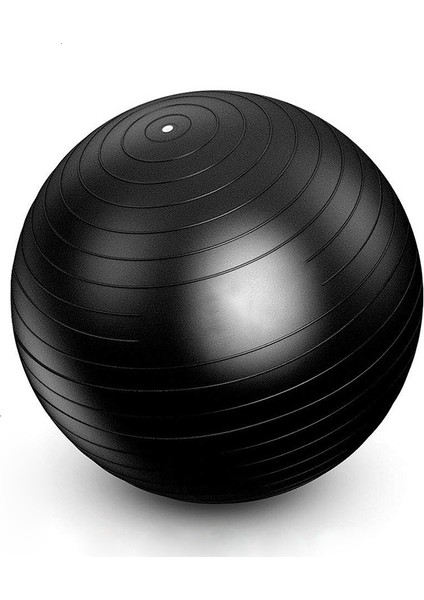 Mavi 55 cm Stili Profesyonel Egzersiz Yoga Topları Erkekler Anti Patlama Stabilite Topu Ev Gym Pilates Fitness Dengesi Hızlı Pompa ile Fitball (Yurt Dışından) indirimleri