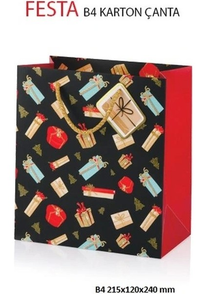 B4 Festa Hediyelik Karton Çanta BG2759