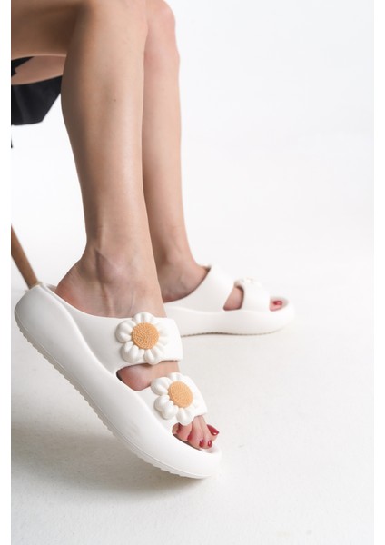 Meltihne Kadın Terlik 001226 fırsatları