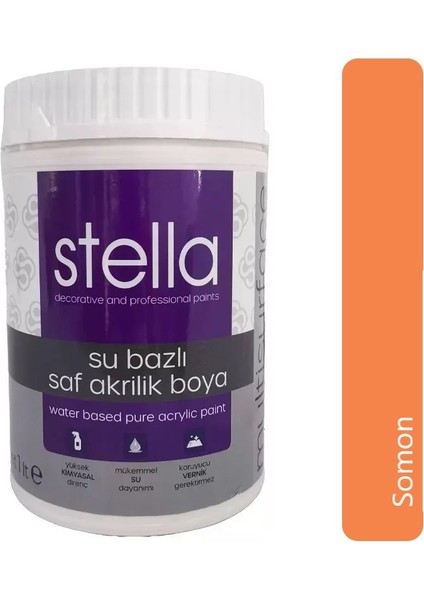 Su Bazlı Saf Akrilik Dönüşüm Boyası 1 Litre Somon
