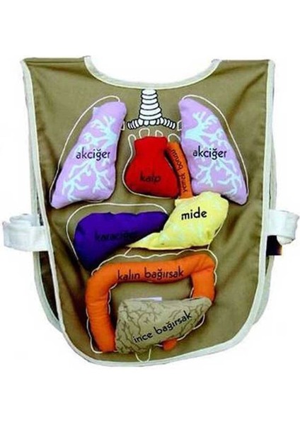 AND-5011 Organ Önlüğü Organlar Cırt Bantlı fiyatları