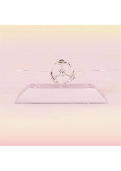 Dekoratif Masa Üstü Obje Manyetik Kinetik Orbital Dönen Yunuslar indirimleri