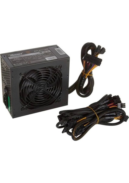 Powerboost 700W 80+ Bronze Brıo BST-ATX700BEU Power Supply