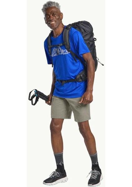 PICO TRAIL SHORTS M Gri Erkek Şort indirimleri