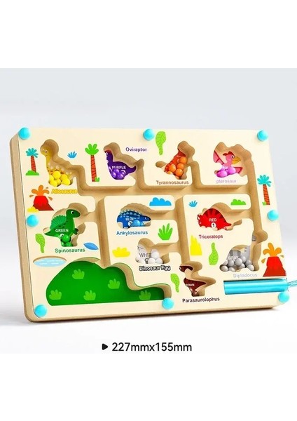 Montessori Manyetik Renk Sıralama Oyunları Labirent Kurulu Kalem Hareketli Boncuk Oyunları Ahşap Kontrol Duyusal Oyun Çocuklar Için Eğitim Oyuncakları Renk: Dinozor (Yurt Dışından)