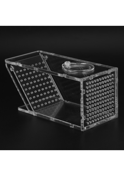 Akrilik Akvaryum Balık Tankı Tatlısu Yengeç Haşere Tuzak Catcher Kutusu Tek Yönlü Tuzak Kutusu (Yurt Dışından) modelleri