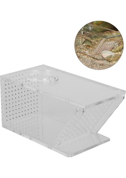 Akrilik Akvaryum Balık Tankı Tatlısu Yengeç Haşere Tuzak Catcher Kutusu Tek Yönlü Tuzak Kutusu (Yurt Dışından) fırsatları
