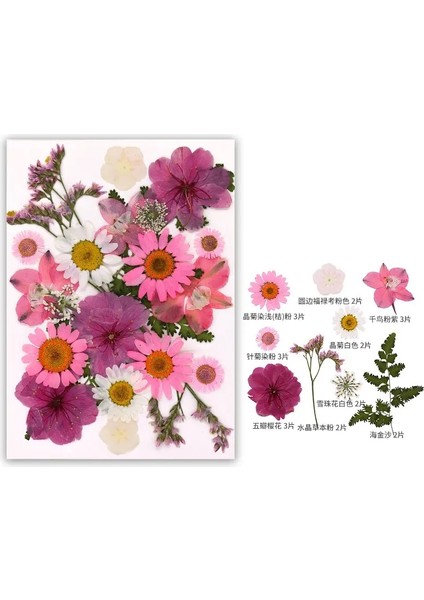 Dıy Reçine Kalıp Için Kurutulmuş Çiçek Dolgular Gerçek Doğal Preslenmiş Çiçek Yaprakları Scrapbooking Diy Sanat El Sanatları Tırnak Sanat Dekoru Renk: Pembe (Yurt Dışından)