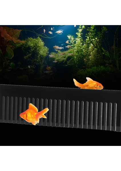 Akrilik Dayanıklı Güzel Akış Savak Tarak Su Önlemek Taşma Akvaryum Için Balık Balık Tankı (Yurt Dışından) modelleri