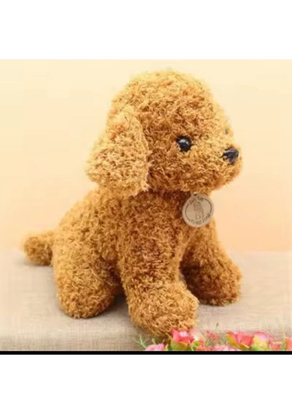 Sevimli Köpek Kaniş Toy Poodle Peluş Oyuncak 25 cm 200 Gram Puppy Gerçekçi Peluş Köpek