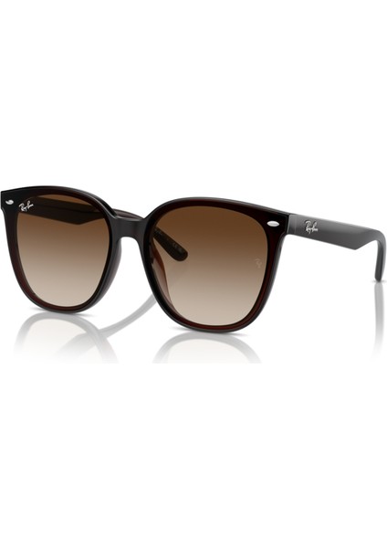 RB4423D 714/13 66-15-145 Unisex Güneş Gözlüğü