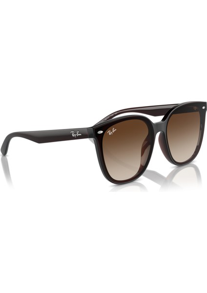 RB4423D 714/13 66-15-145 Unisex Güneş Gözlüğü fırsatları