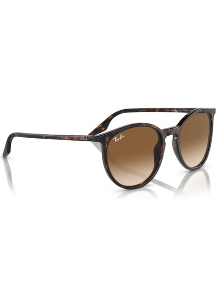 RB2204 902/51 51-20-145 Unisex Güneş Gözlüğü fırsatları