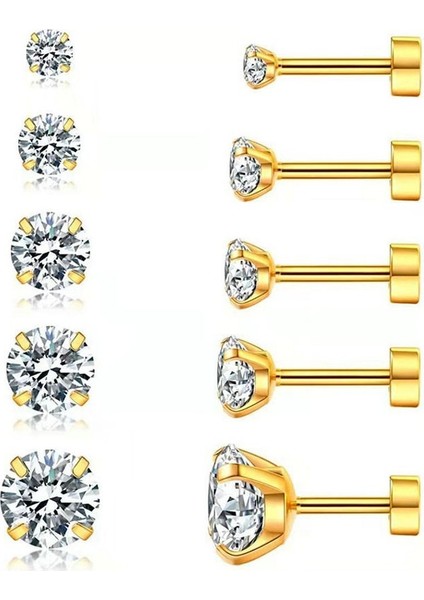 5 Çift Kübik Zirkonya Hipoalerjenik Saplama Küpe Kadın Erkek Kız Bildirimi Kıkırdak Moda Cerrahi Çelik Sarmal Küpe Seti (Yurt Dışından)