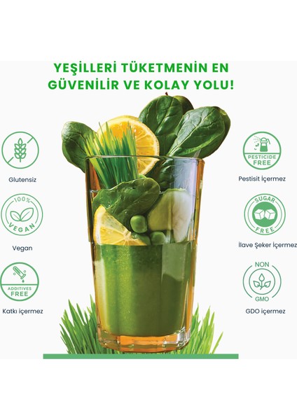 Green Mix I Bitkisel Yeşil Karışım I Freeze Dried, Glutensiz, Katki ve Koruyucusuz, Vegan I 10 x 6g fiyatları