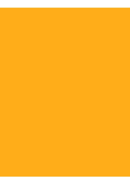 Full Color Ultra Yüksek Pigmentli & Parlak Bitişli Oje (FC47 Lemoncello) 8682536065283