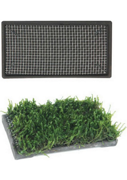 Bitki Taban Seramik 5X10 cm cm Dikdörtgen Inslm
