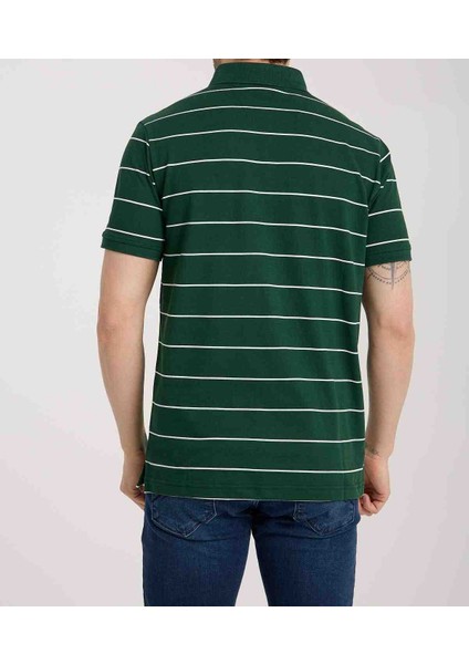 Polo Nefti Çizgili Regular Fit modelleri