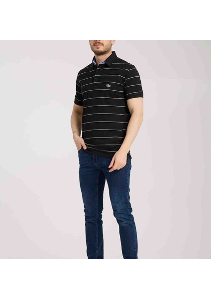 Polo Siyah Çizgili Regular Fit modelleri