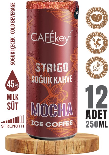 Sütlü, Kahveli ve Kakaolu Içecek Mocha Aromalı 250 ml X12ADET