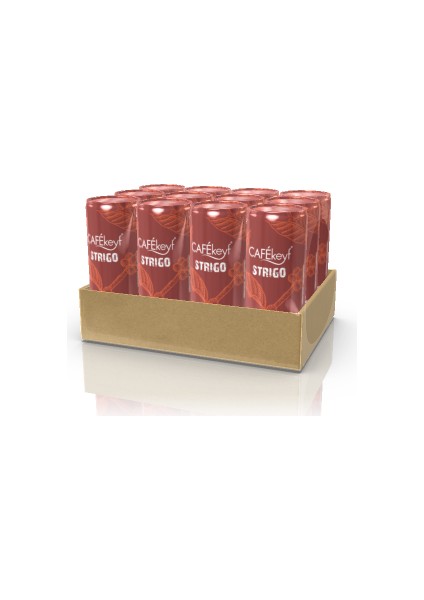 Sütlü, Kahveli ve Kakaolu Içecek Mocha Aromalı 250 ml X12ADET