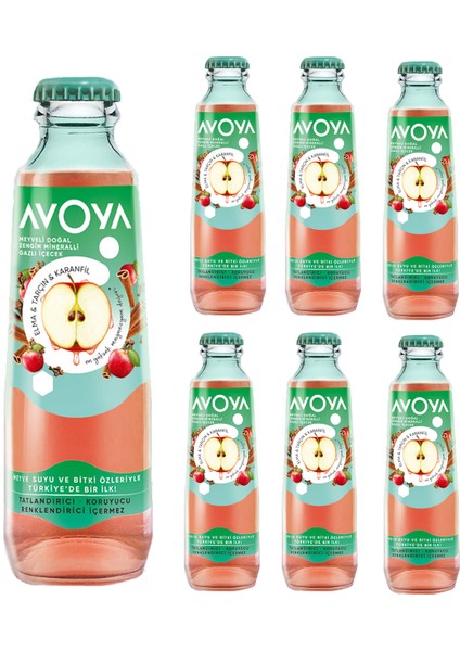 Meyveli Elma & Tarçın & Karanfil Maden Suyu 200 ml x 6 Adet