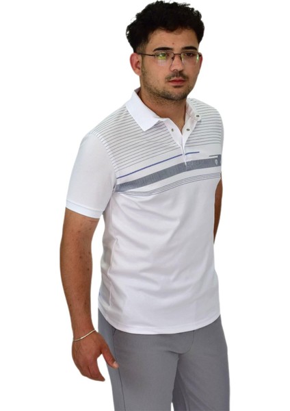 Erkek Polo Yaka Pano Çizgili Tişört T273 BGL-ST04592