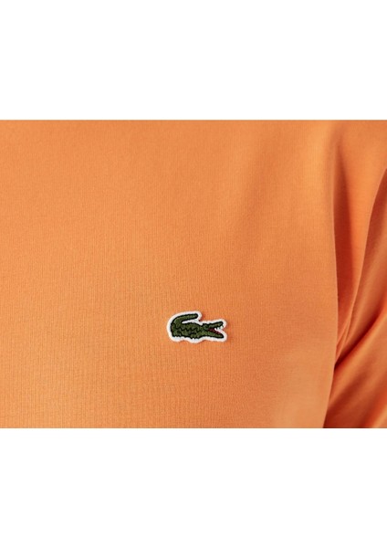 Erkek Bisiklet Yaka T-Shirt