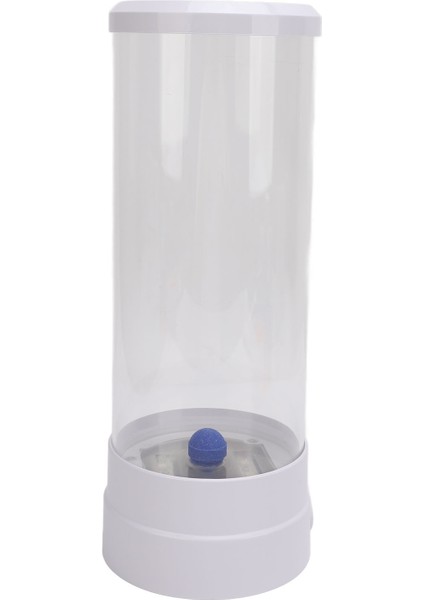 Balon Balıkçılık Lambası LED 8 Renk Düşük Gürültülü Dekoratif Akvaryum Duyusal Işık Hediye 5V Beyaz (Yurt Dışından) fırsatları