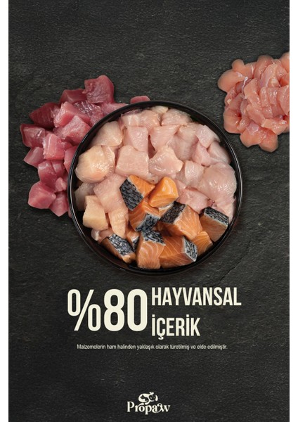 Yavru Kedi Yaş Mama Kuzu Konserve Jöleli Premium Parça Etli Besleyici Tahılsız Içerik 12 x 415 gr