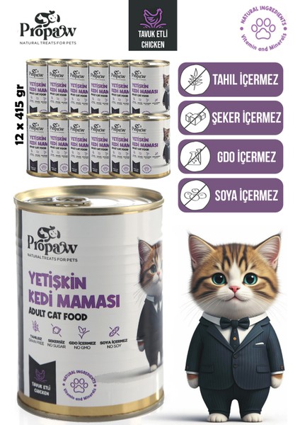Kedi Yaş Mama Tavuklu Konserve Jöleli Premium Parça Etli Yemek Besleyici Tahılsız Içerik 12 x 415 gr