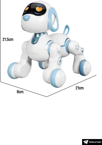 Oyuncak 30 Fonksiyon Uzaktan Kumandalı Şarjlı Sesli Işıklı Dokunma Algılama Programlama Robot Köpek
