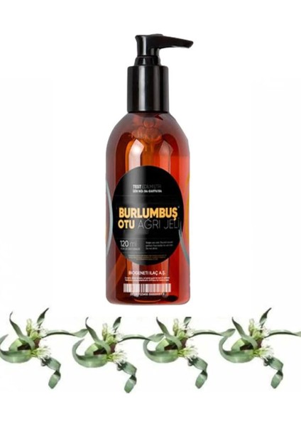 Burlumbuş Otu Vücut Sızıları Için Bakım Masaj Jeli 120 ml x 1 Adet