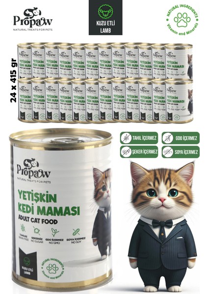 Kedi Yaş Mama Kuzu Konserve Jöleli Premium Parça Etli Yemek Besleyici Tahılsız Içerik 24 x 415 gr