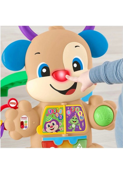 FTG10 Fisher-Price® Eğitici Köpekçik Yürüteç /türkçe